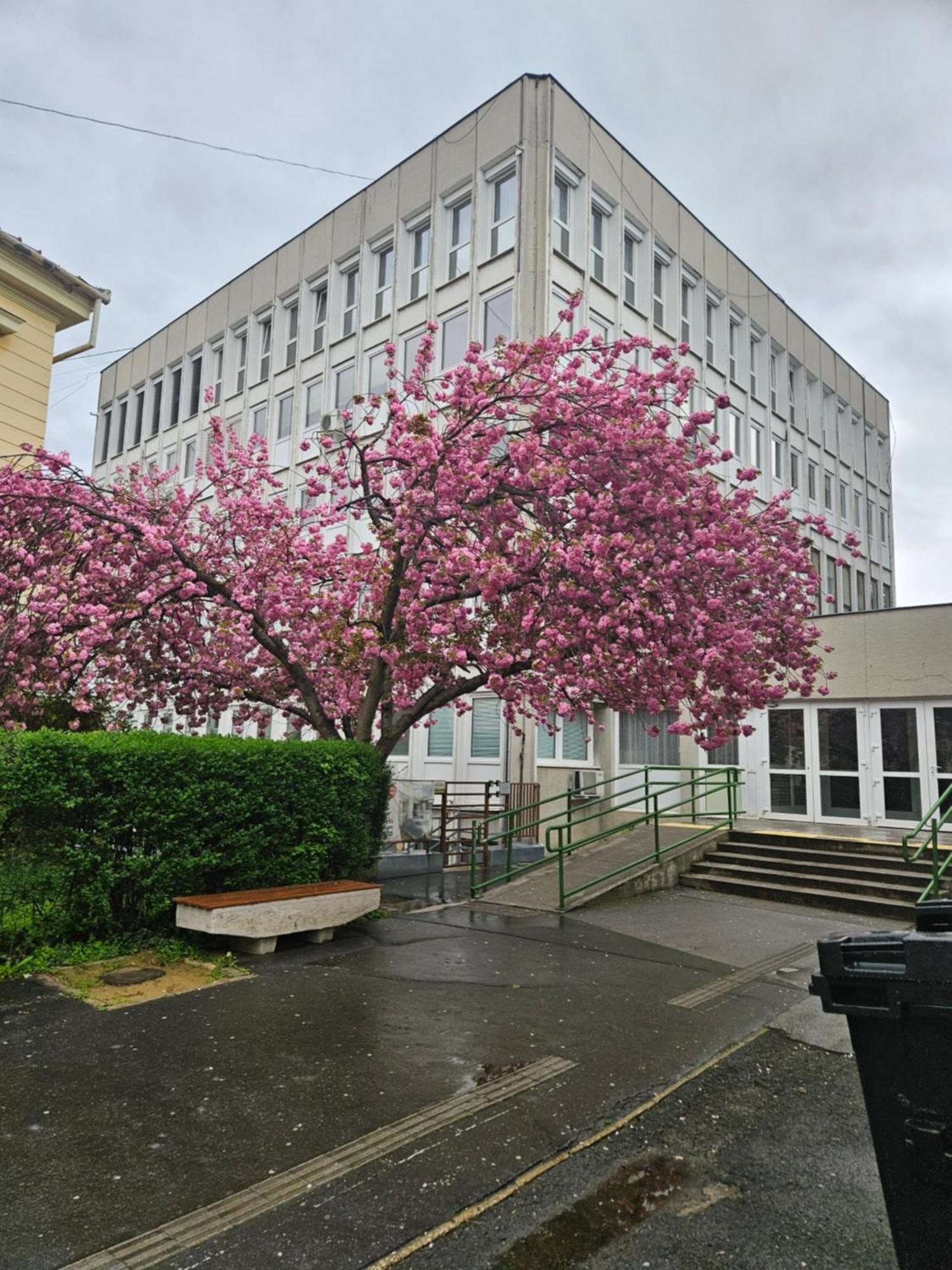 Hellowine Apartman Eger Kültér fotó